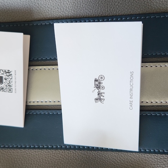 Coach Houston Grey Silver Blue Sling Backpack Leather Unisex Varsity Stripe NWT - Picture 7 of 16